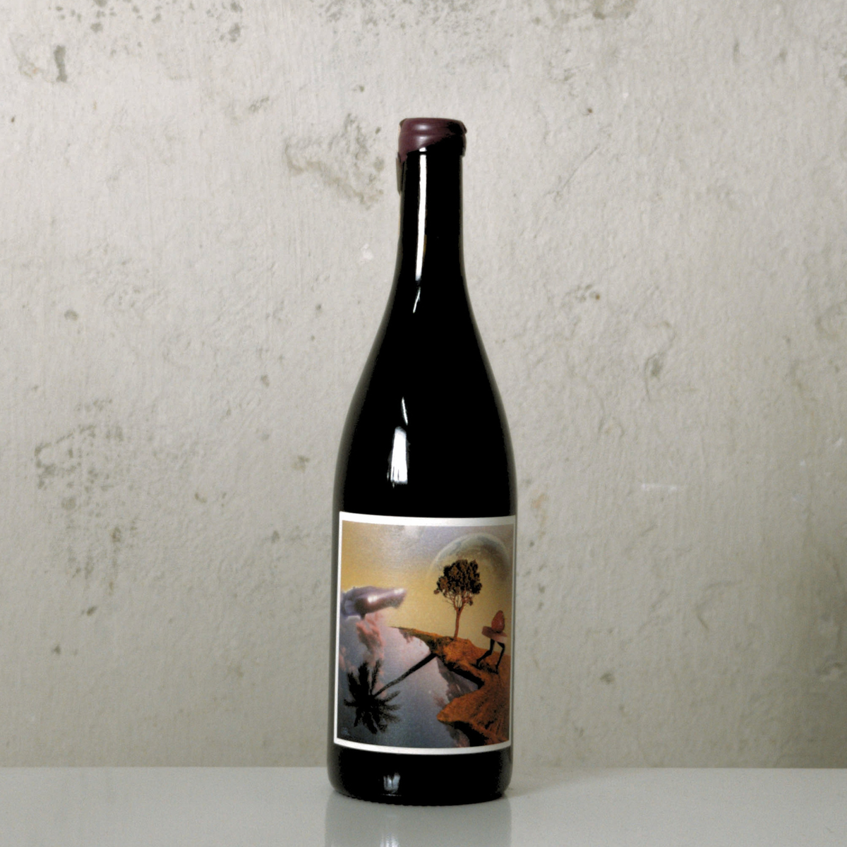 Dry red wine BACK TO THE SERINE, 0.75L, France