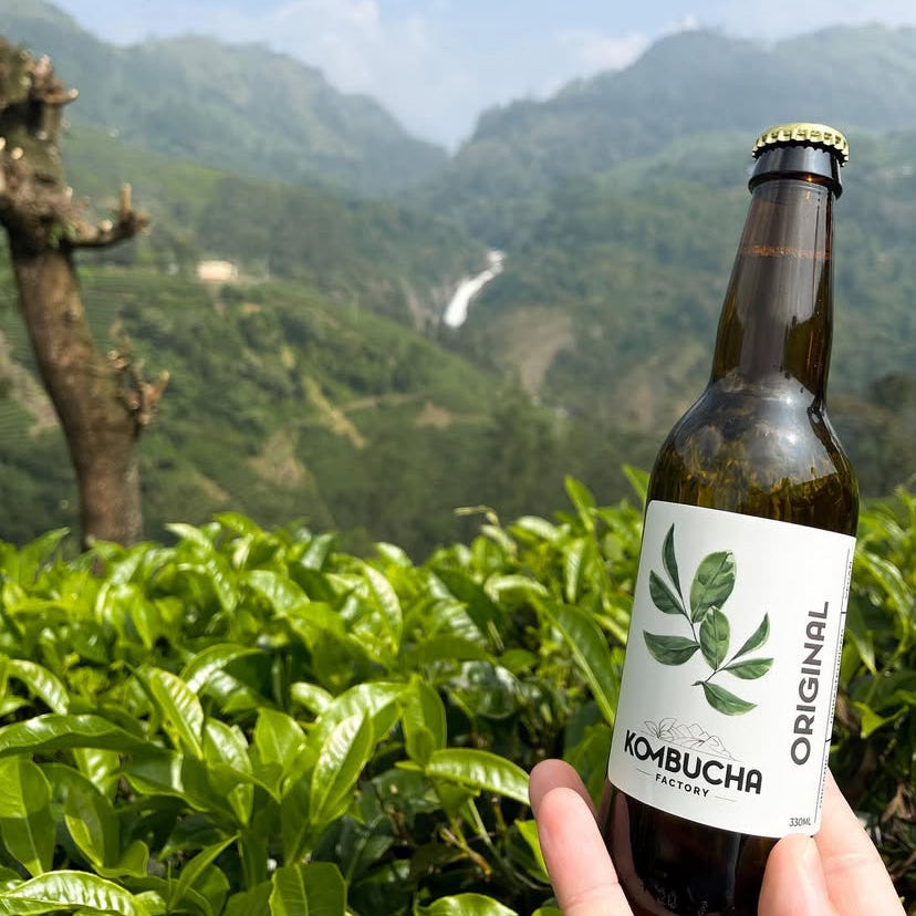 Fermentuotas arbatos gėrimas ORIGINAL KOMBUCHA, 0.33L