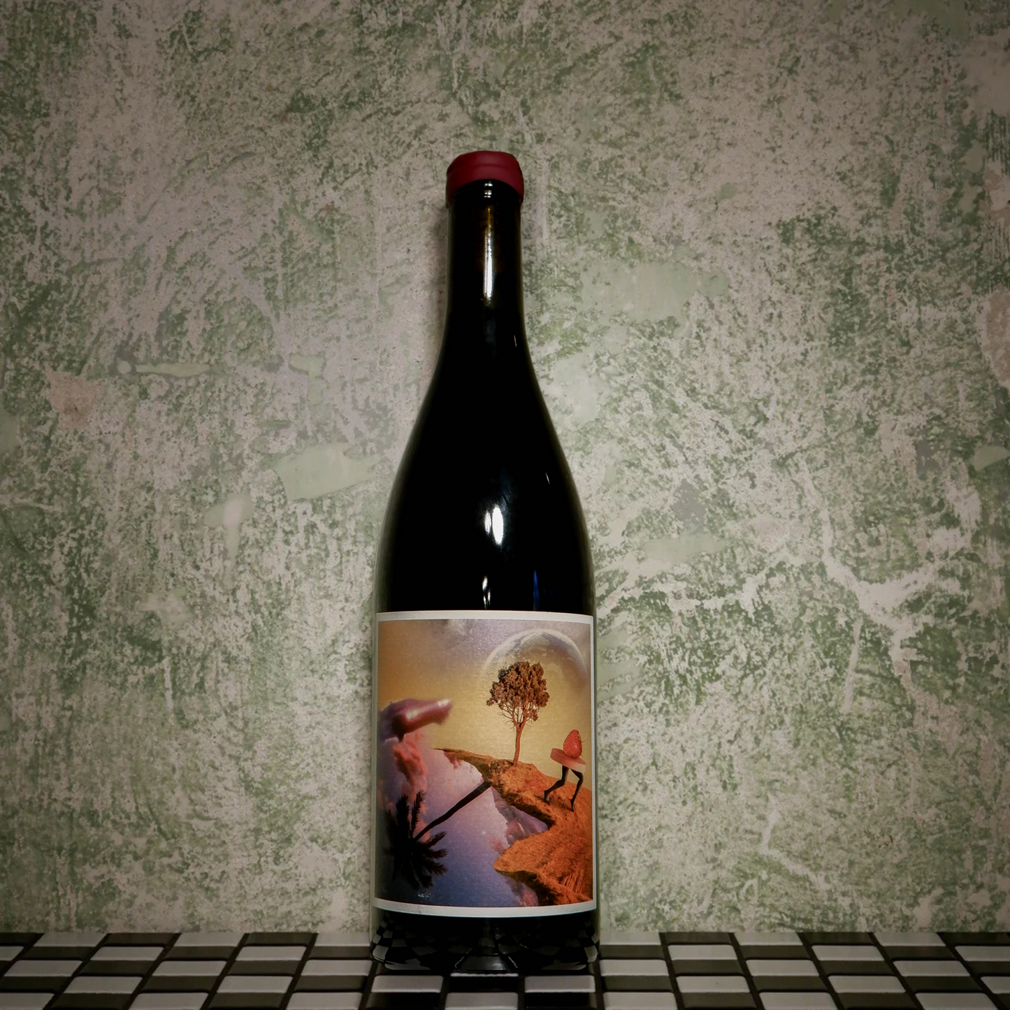 Dry red wine BACK TO THE SERINE, 0.75L, France