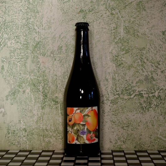 Fermentuotas arbatos gėrimas MANGO & APRICOT KOMBUCHA, 0.75L