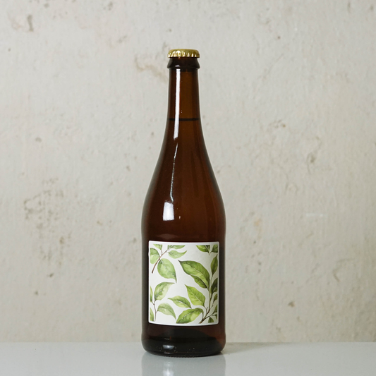 Fermentuotas arbatos gėrimas ORIGINAL KOMBUCHA, 0.75L