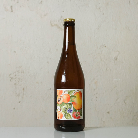 Fermentuotas arbatos gėrimas MANGO & APRICOT KOMBUCHA, 0.75L