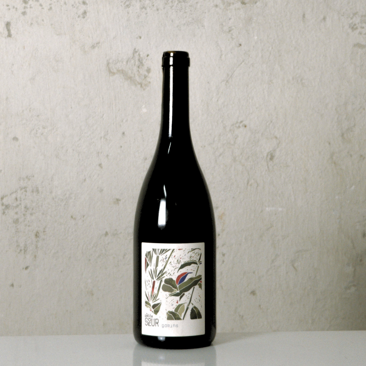 Dry red wine GAMINS 2022, 0.75L, France